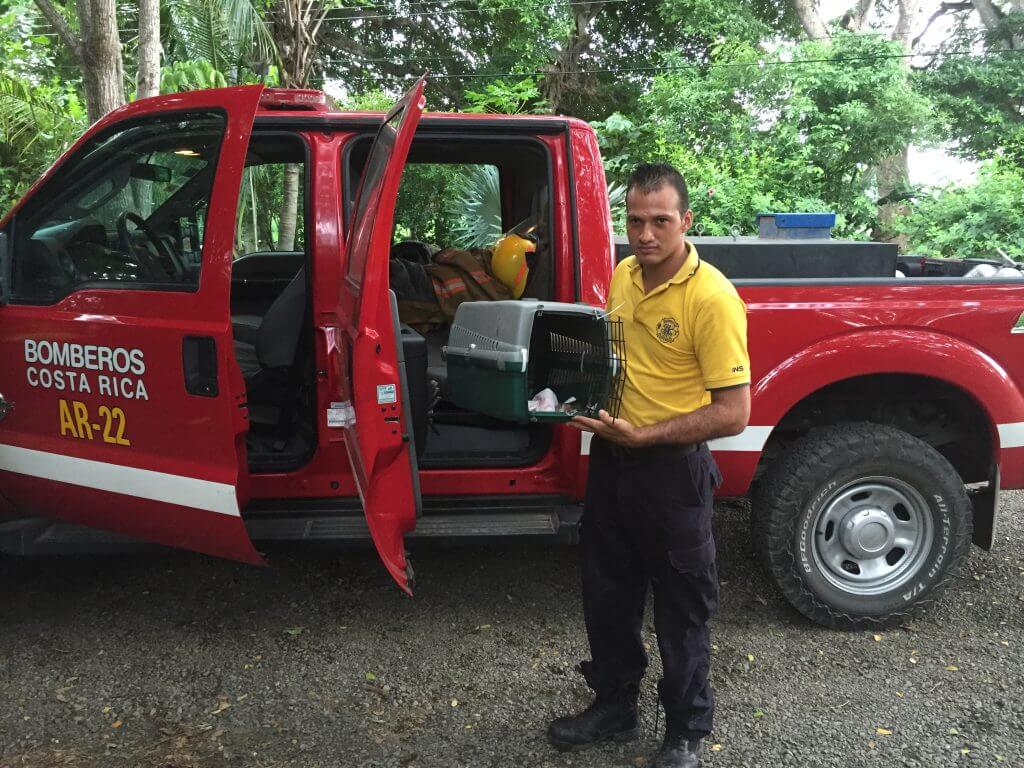 Wildlife Rescue Center in Costa Rica