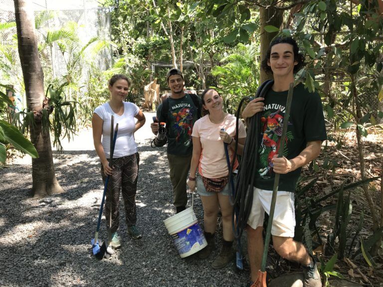 Voluntariado en Costa Rica con animales silvestres