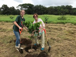 Lee más sobre el artículo Festejando el Día del árbol en NATUWA Costa Rica