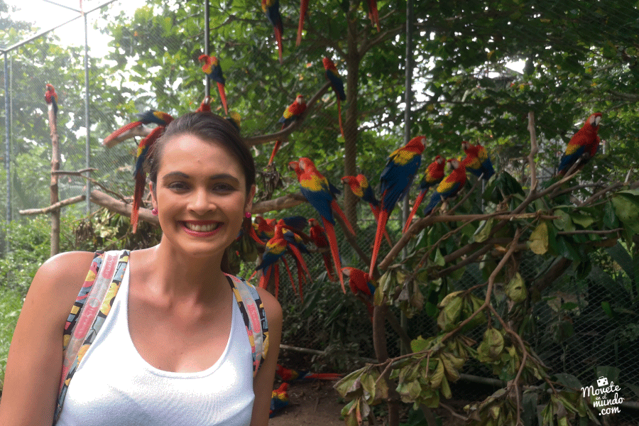 Voluntariado en el Santuario NATUWA, Costa Rica