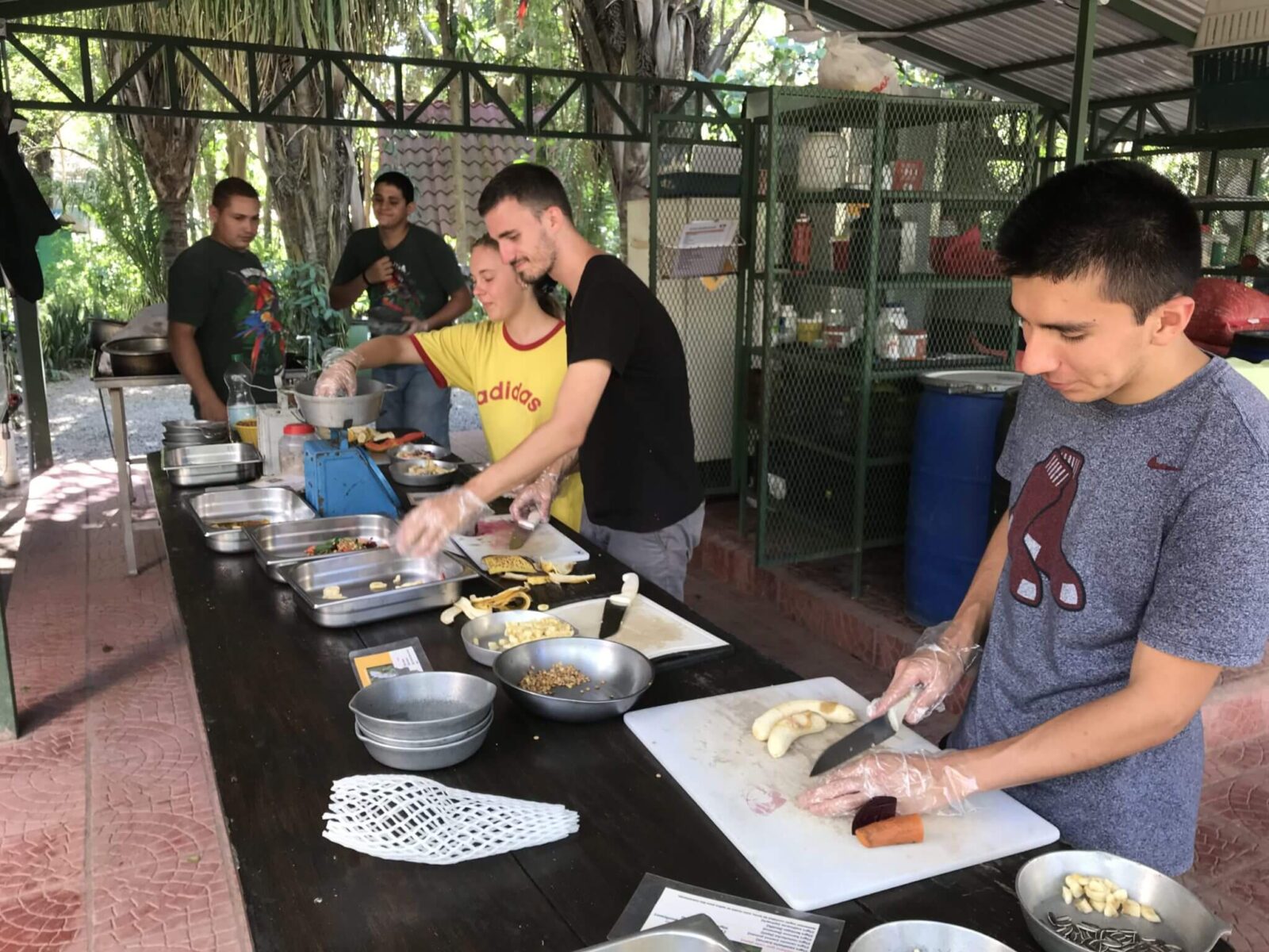 En este momento estás viendo Natuwa, un lugar de voluntariado con animales  silvestres en Costa Rica