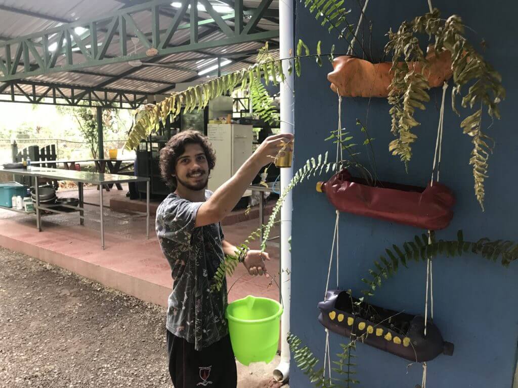 Voluntariado con animales silvestres Costa Rica