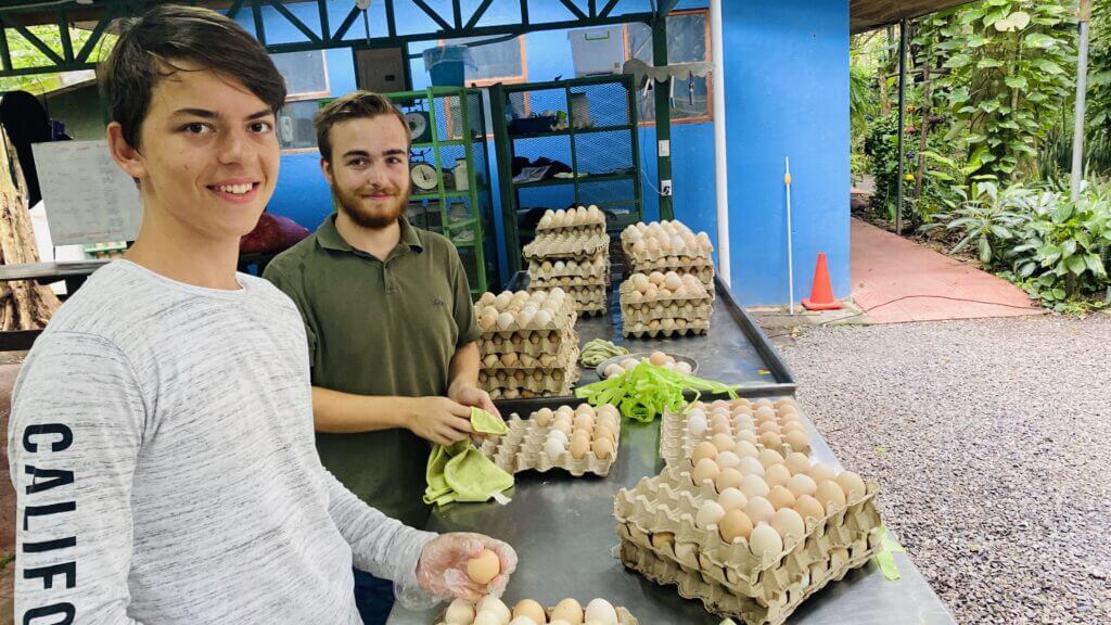 Voluntarios trabajando