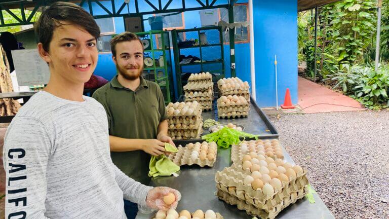 Voluntarios trabajando