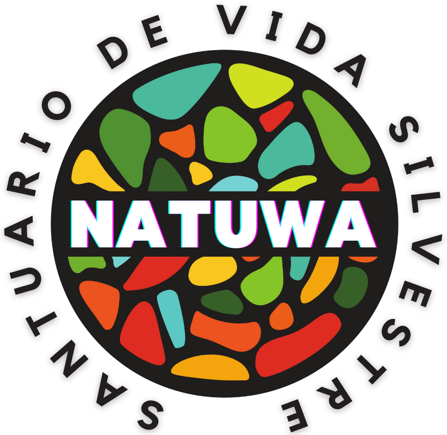 En este momento estás viendo ¿Cuál es el significado de la palabra Natuwa?